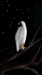 Voir le détail de cette oeuvre: L'oiseau de nuit... 